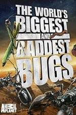 Watch Worlds Biggest and Baddest Bugs 123moviesfree