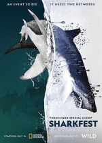 Watch Man vs. Shark 123moviesfree