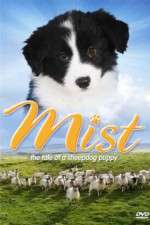 Watch Mist: The Tale of a Sheepdog Puppy 123moviesfree