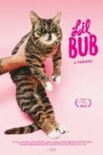Watch Lil Bub & Friendz 123moviesfree