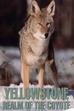 Watch Yellowstone: Realm of the Coyote 123moviesfree