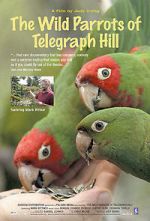 Watch The Wild Parrots of Telegraph Hill 123moviesfree
