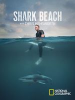 Watch Shark Beach with Chris Hemsworth (TV Special 2021) 123moviesfree