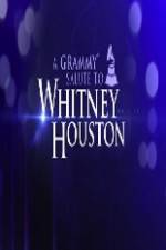 Watch We Will Always Love You A Grammy Salute to Whitney Houston 123moviesfree