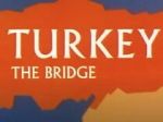 Watch Turkey the Bridge (Short 1966) 123moviesfree