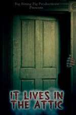 Watch It Lives in the Attic 123moviesfree