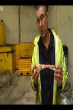 Watch The Hunt for Great Britains Metal Thieves 123moviesfree
