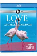 Watch Nature: Love in the Animal Kingdom 123moviesfree