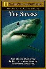 Watch National Geographic The Sharks 123moviesfree