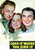 Watch Gold Is Where You Find It 123moviesfree