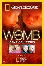 Watch National Geographic: In the Womb - Identical Twins 123moviesfree