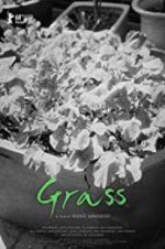Watch Grass 123moviesfree