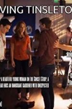 Watch Driving Tinseltown 123moviesfree