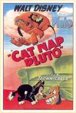 Watch Cat Nap Pluto 123moviesfree