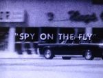 Watch Spy on the Fly (Short 1967) 123moviesfree