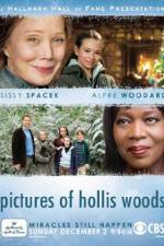 Watch Pictures of Hollis Woods 123moviesfree