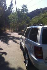 Watch Nefarious Nellie 123moviesfree