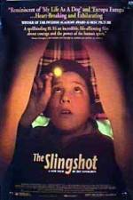 Watch The Slingshot 123moviesfree