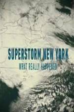 Watch Superstorm New York: What Really Happened 123moviesfree