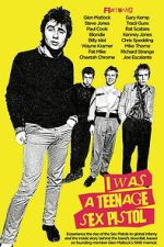 Watch I Was a Teenage Sex Pistol 123moviesfree