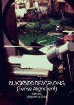 Watch Blackbird Descending 123moviesfree