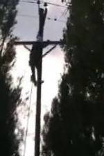 Watch After the Wind 123moviesfree