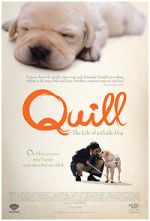 Watch Quill: The Life of a Guide Dog 123moviesfree