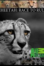 Watch Cheetah: Race to Rule 123moviesfree