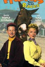 Watch Francis Goes to the Races 123moviesfree