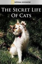 Watch The Secret Life of Cats 123moviesfree
