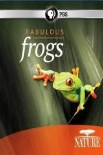 Watch Nature: Fabulous Frogs 123moviesfree