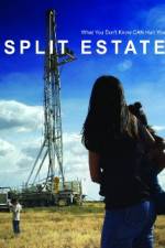 Watch Split Estate 123moviesfree