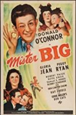 Watch Mister Big 123moviesfree