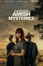Watch Sugarcreek Amish Mysteries: Blessings in Disguise 123moviesfree