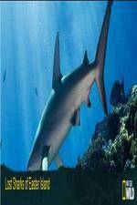 Watch National Geographic Wild - Lost Sharks of Easter Island 123moviesfree
