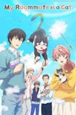 Watch My Roommate Is a Cat 123moviesfree