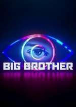 big brother season 1 episode 19 tv poster