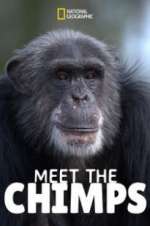 Watch Meet the Chimps 123moviesfree