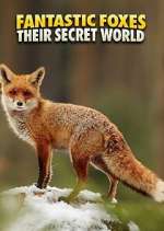 Watch Fantastic Foxes: Their Secret World 123moviesfree