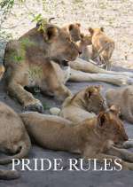 Watch Pride Rules 123moviesfree