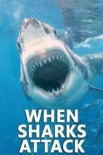 Watch When Sharks Attack 123moviesfree