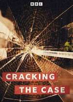 Watch Cracking the Case 123moviesfree
