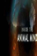 Watch Inside the Animal Mind 123moviesfree