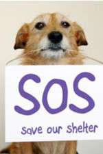 Watch Save Our Shelter 123moviesfree