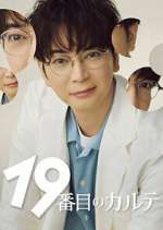 the 19th medical chart tv poster