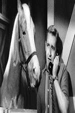 Watch Countdown to... 123moviesfree