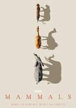 Watch Mammals 123moviesfree