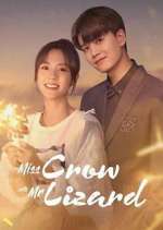 Watch Miss Crow with Mr. Lizard 123moviesfree