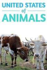 Watch United States of Animals 123moviesfree