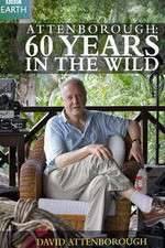 Watch Attenborough 60 Years in the Wild 123moviesfree